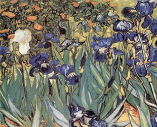 Irises in the Garden, Saint-Remy, c.1889 by Vincent Van Gogh