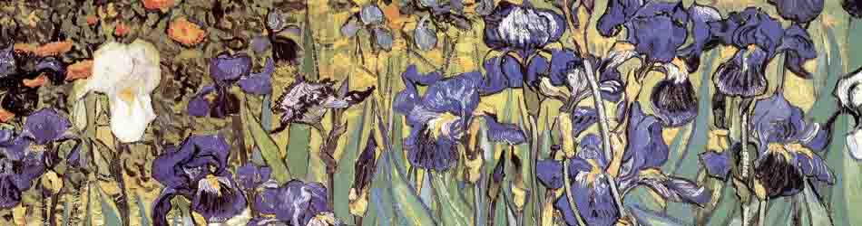 Irises in the Garden by Vincent Van Gogh