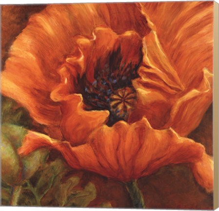 Canvas Orange Poppy