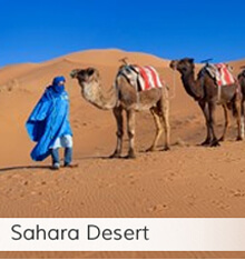 Sahara Artwork