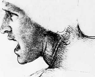 Study for the head of a soldier in 'The Battle of Anghiari' by Leonardo Da Vinci