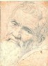 Michelangelo Buonarroti Bio Pic