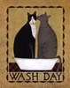 Wash Day by Dotty Chase FineArt print