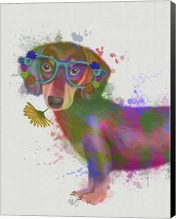 Framed Dachshund And Glasses Rainbow Splash Print