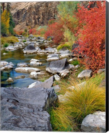 Framed Fall Colors Along The John Day River Print