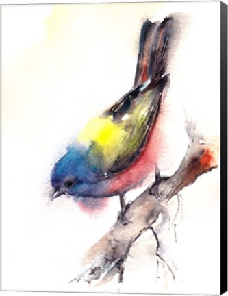 Framed Bunting Bird Print