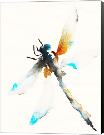 Framed Blue &amp; Brown Dragonfly Print