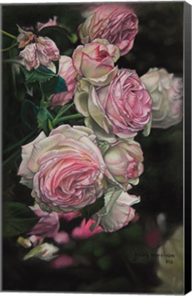 Framed Roses from Pat Print