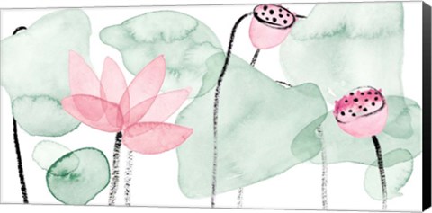 Framed Lotus in Nature IV Print
