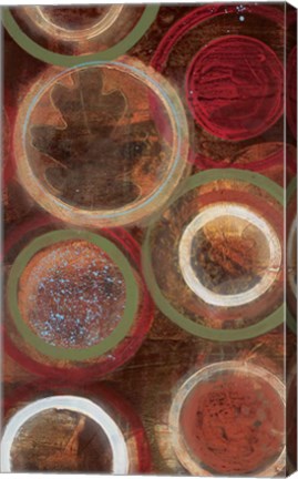Framed Nature&#39;s Spheres I Print
