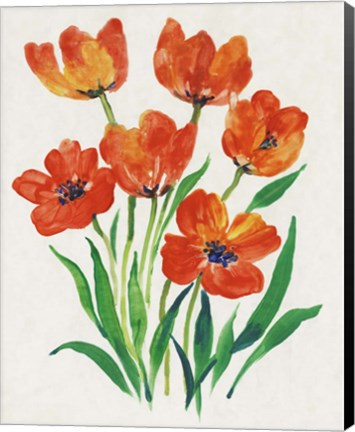 Framed Red Tulips in Bloom II Print