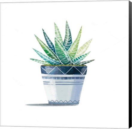 Framed Aloe Plant Print