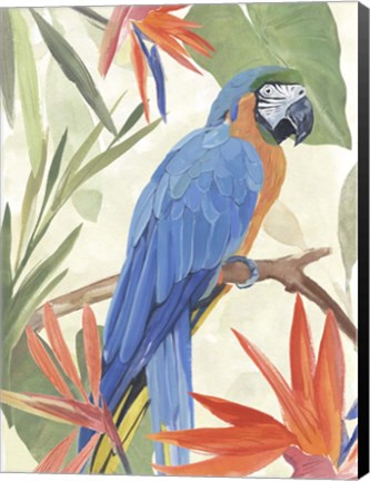 Framed Tropical Parrot Composition IV Print