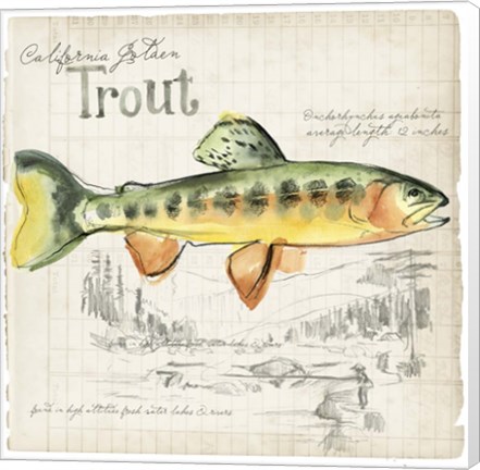 Framed Trout Journal IV Print