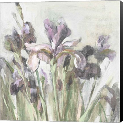 Framed Spring Iris I Purple Print