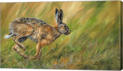 Framed Wild Hare Running Print