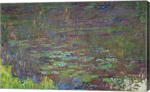 Framed Waterlilies at Sunset, detail from the right hand side, 1915-26 Print