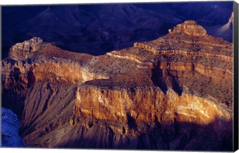 Framed Cedar Ridge Grand Canyon National Park Arizona USA Print