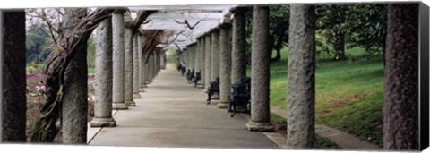 Framed Columns Along A Path In A Garden, Maymont, Richmond, Virginia, USA Print