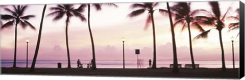 Framed Palm trees on the beach, Waikiki, Honolulu, Oahu, Hawaii Print