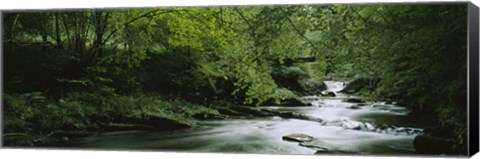 Framed River flowing in the forest, Aberfeldy, Perthshire, Scotland Print
