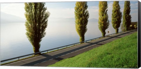 Framed Trees along a lake, Lake Zug, Switzerland Print