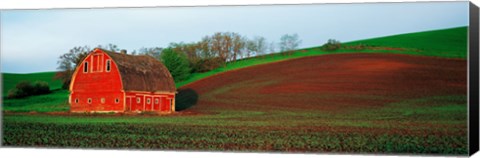 Framed Red Barn in a Field at Sunset, Washington State, USA Print