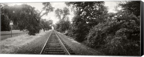 Framed Railroad track, Napa Valley, California, USA Print