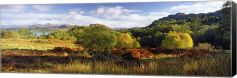Framed Autumn Rrees at Loch Carron, Scotland Print