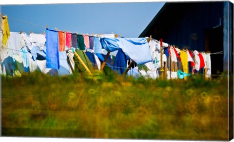 Framed Laundry hanging on the line to dry, Michigan, USA Print