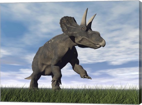 Framed Nedoceratops dinosaur grazing in grassy field Print