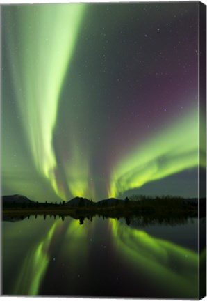 Framed Aurora borealis over Fish lake, Whitehorse, Yukon, Canada (vertical) Print