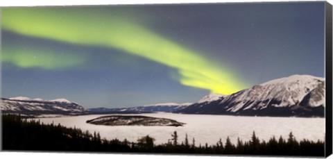 Framed Aurora Borealis over Bove Island, Yukon, Canada Print