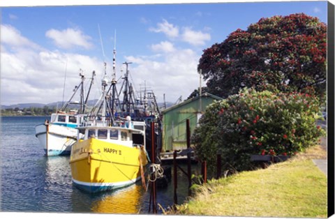 Framed Fishing Boats, Tauranga Harbor, Tauranga, New Zealand Print