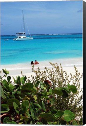 Framed Swimming the waters of Prickly Pear Island with Festiva Sailing Vacations Print