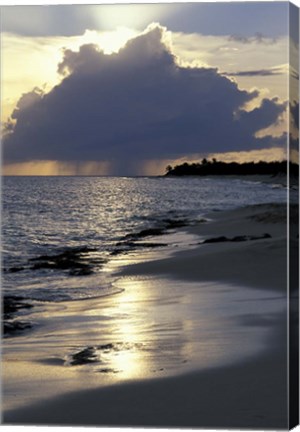Framed Rouge Beach on St Martin, Caribbean Print