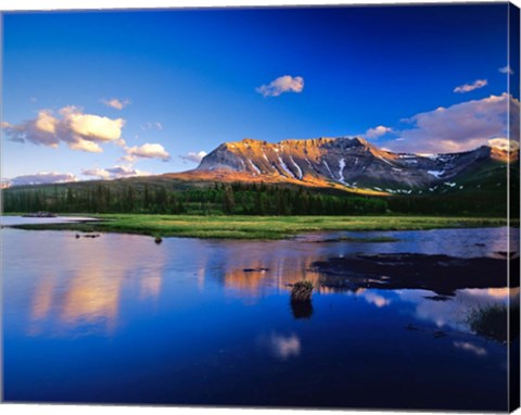 Framed Sofa Mountain Reflects in Beaver Pond, Wateron Lakes National Park, Alberta, Canada Print