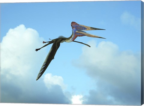 Framed Zhejiangopterus, a genus of azhdarchid pterosaur Print