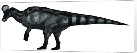 Framed Corythosaurus, a Large Hadrosaurid Dinosaur Print