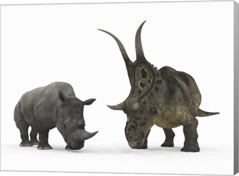 Framed Adult Diabloceratops Compared to a Modern adult White Rhinoceros Print