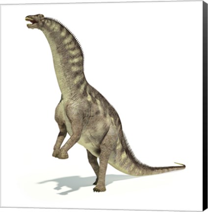 Framed Amargasaurus Dinosaur in Dynamic Posture Print