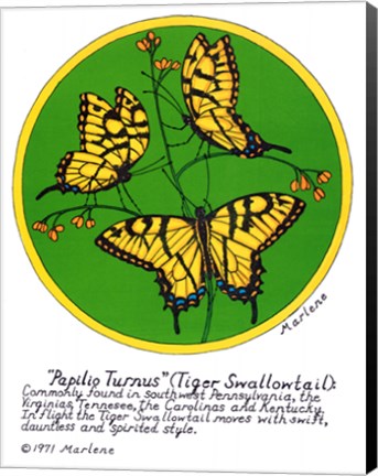 Framed Tiger Swallowtail Print
