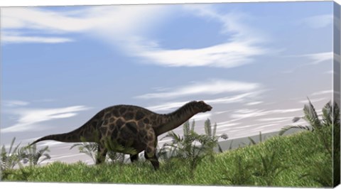 Framed Dicraeosaurus Walking Print
