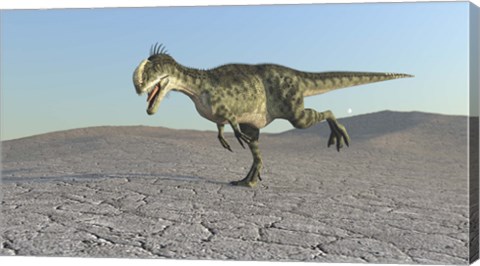 Framed Monolophosaurus Print