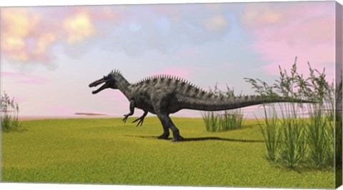Framed Suchomimus Walking in Grass Print