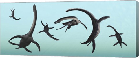 Framed Plesiosaurs Gather Underwater Print