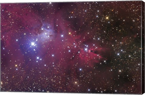 Framed Cone Nebula Print