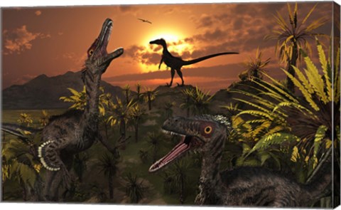 Framed Group of Feathered Carnivorous Velociraptors Print