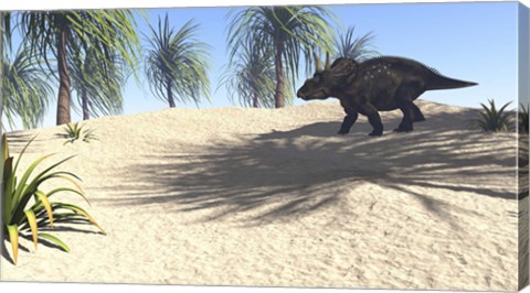 Framed Triceratops Walking in a Tropical Environment 1 Print