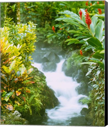Framed Waterfall, Tabacon, Costa Rica Print